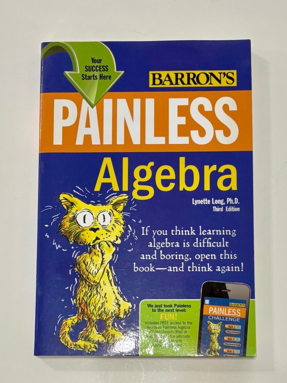 Painless Algebra (3rd Edition) by Lynette Long, Ph.D.